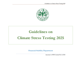 Guidelines on Climate Stress Testing